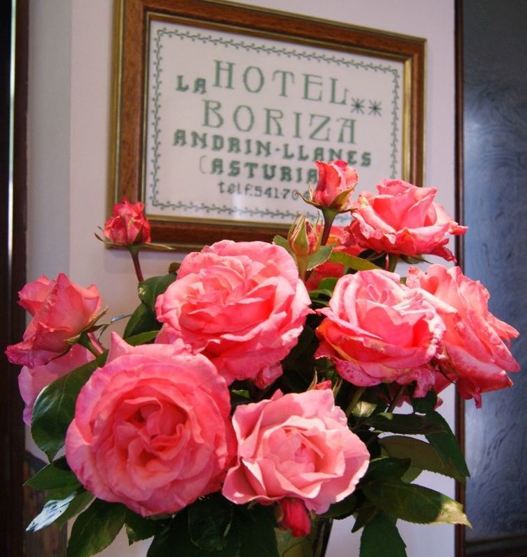 Hotel La Boriza Andrín Exteriör bild
